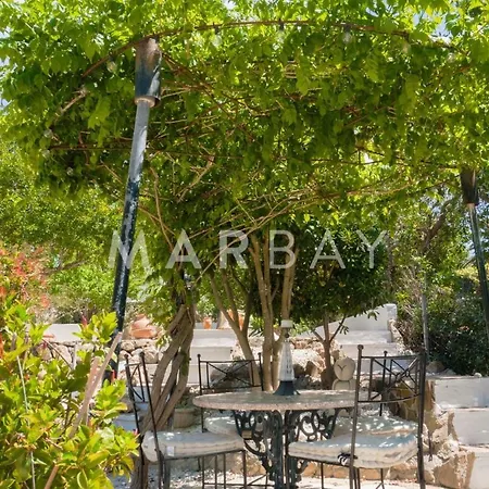 Ca Limonero Holiday home *